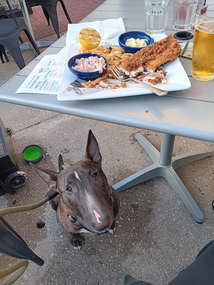 Fish Dinner